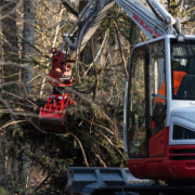 SCHWEIZ BERN RIEMAT AN DER AARE