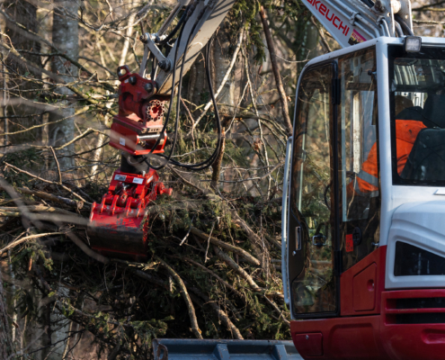 SCHWEIZ BERN RIEMAT AN DER AARE